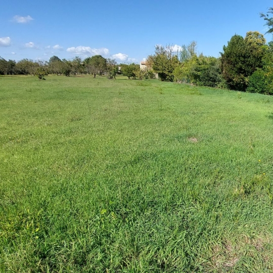 TERRAIN MEDITERRANEEN : Terrain | SAINT-QUENTIN-LA-POTERIE (30700) | m2 | 89 000 € TERRAIN MEDITERRANEEN : Terrain | SAINT-QUENTIN-LA-POTERIE (30700) | m2 | 89 000 €